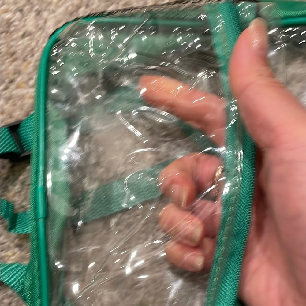 Small Clear Backpack With Green Lining - image 5